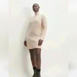 Everlane Cream Long Sleeve Turtleneck Dress Size S.
